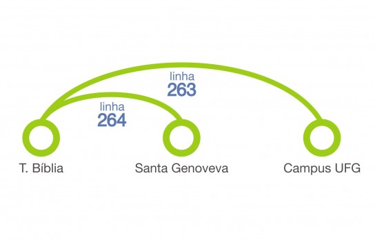 Criação Linha 264