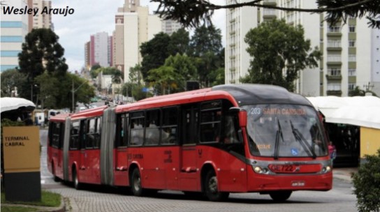 cur-colapso